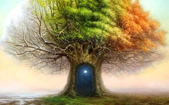 puu on maailmankaikkeus