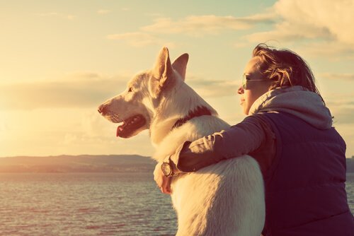 nainen koiransa kanssa katselemassa merelle