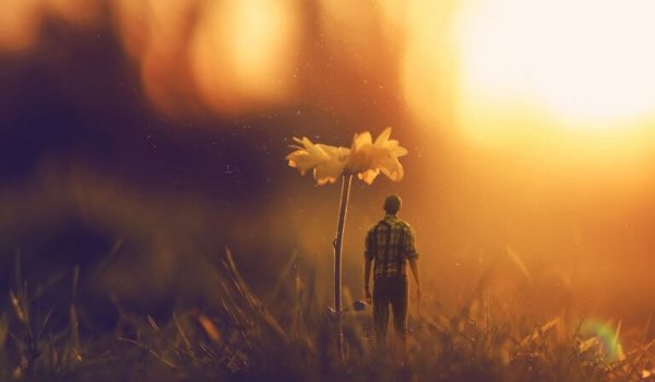 mies on kukan kokoinen