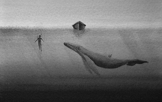 valas ja ihminen meressä