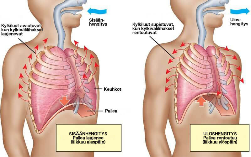 ahdistus voi aiheuttaa huimausta, ja tällöin tulee hengittää oikein