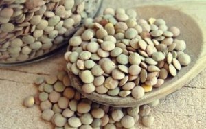 Foolihappo ja terveet aivot