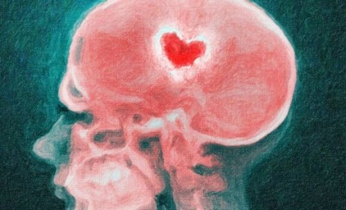 Aivot ja ero: särkyneen sydämen tiedettä