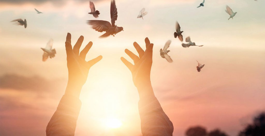 kädet kurottavat lintuja