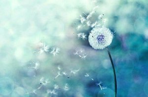 Kun yhteensattumat täsmäävät, olet oikealla polulla