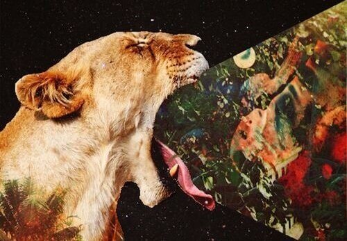 leijonanaaras oksentaa taulun