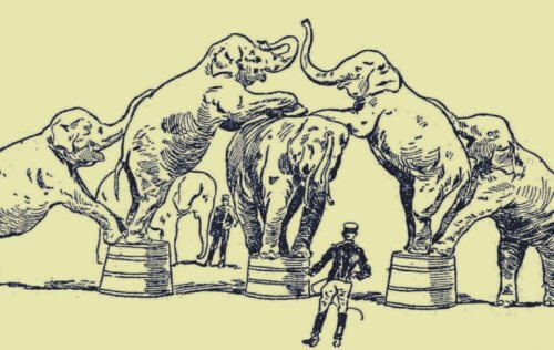 elefantit sirkuksessa