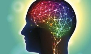 Anandamidi: välittäjäaine, joka vaikuttaa onnellisuuteen