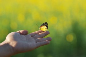 Opi päättämään ajanjaksot oikealla tavalla