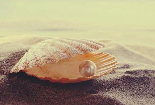 sananlaskuja rakkaudesta: helmi simpukassa