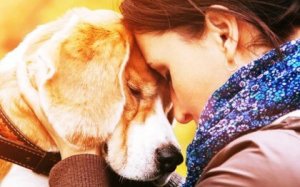 Miksi rakastamme eläimiä niin paljon