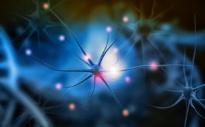 Neurogeneesi ja sen merkitys
