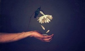 Halveksunta aiheuttaa psykologista vahinkoa