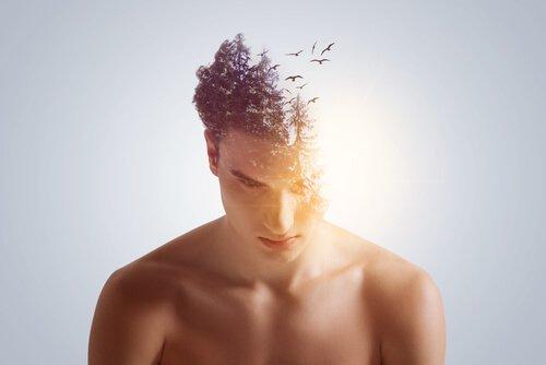 miehen päästä lentää lintuja