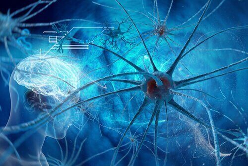 aivot ja neuronit