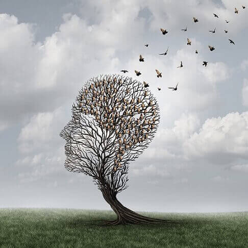 pään muotoinen puu