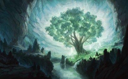 Toivomusten puu, Oshon tarina