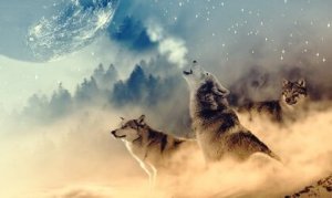 Susiterapia Yhdysvaltojen alkuperäiskansan mukaan