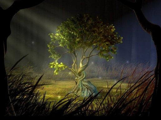 toivomusten puu pimeässä