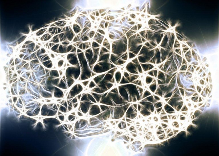 Tiedätkö miksi valkea aine hermostossamme on niin tärkeää?