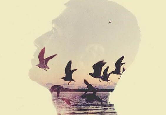 miehen päässä lentää lintuja