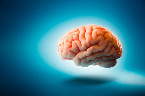 Aivot ja ruokavalio: terveet aivot