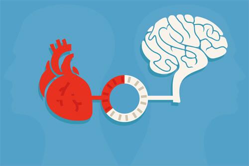 sydämen johdonmukaisuus: sydän ja aivot