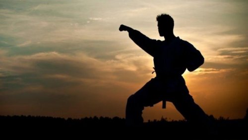 Taistelulajit: mies harjoittelee