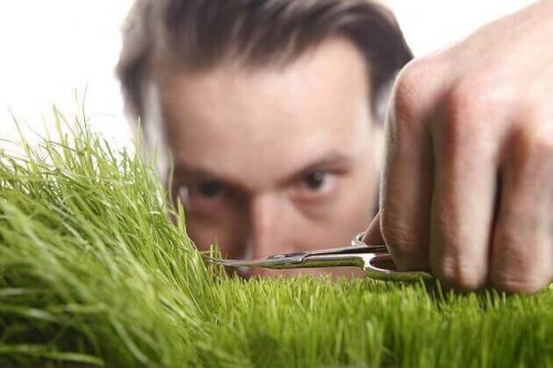 Pakko-oireinen persoonallisuushäiriö: mies trimmaa ruohoa