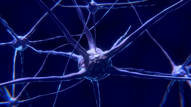 Neuronit: mitä ne ovat ja kuinka ne toimivat