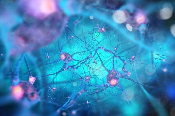 Neuronit Mit Ne Ovat Ja Kuinka Ne Toimivat Mielen Ihmeet neuronit-mit-ne-ovat-ja-kuinka-ne-toimivat-mielen-ihmeet