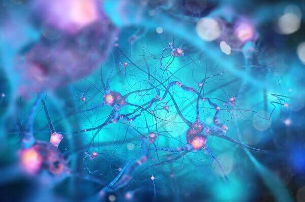 neuronit kommunikoivat keskenään