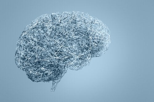 neuroseksismi: miesten ja naisten aivojen väliset erot
