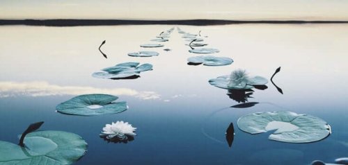 Nollakontakti auttaa seuraamaan oikeaa tietä