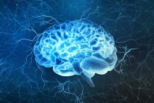 Jos Blue Brain -projekti onnistuu, se voi saada neuroanatomiassa aikaan historiallisia muutoksia