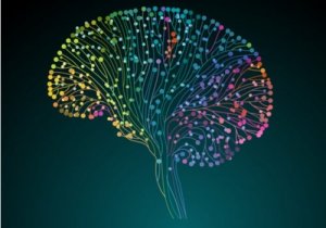 Human Connectome Project: neuronikartta ihmisaivoista