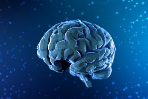 Neurotieteen historia lyhyesti