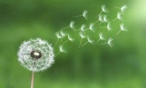 Käytä vähimmän vaivan lakia stressinhallintaan