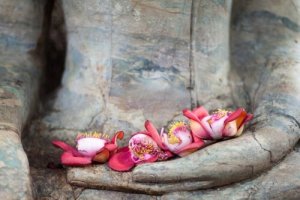 Rakkauden neljä puolta buddhalaisuudessa