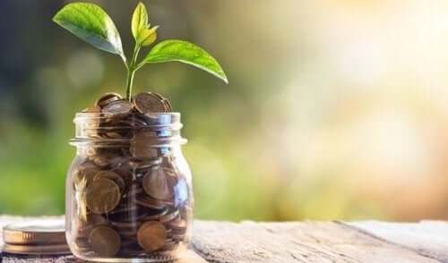 rahapurkissa kasvaa kasvi