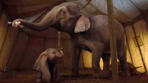 Uudessa Dumbossa raakuus ei ilmene eläinten kaltoinkohteluna vaan teemapuiston muodossa niille, joilla on siihen varaa
