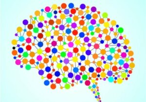 97 aikaisemmin tuntematonta aluetta aivoissa