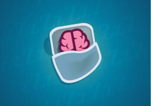 Mitä neuroneille tapahtuu unen aikana?