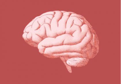 Riippuvuuden neurobiologia: kaikki on aivoissa