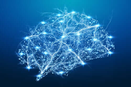 Aivoissa on hienostuneita hermosolukytköksiä
