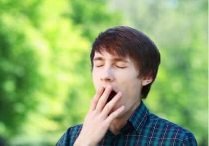 Haukottelu jäähdyttää aivoja