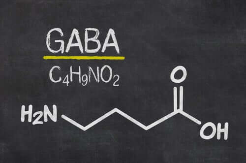 Lateraalisen habenulan asianmukainen toiminta riippuu pääasiassa glutamaatin ja GABA:n tasapainoisesta vapautumisesta