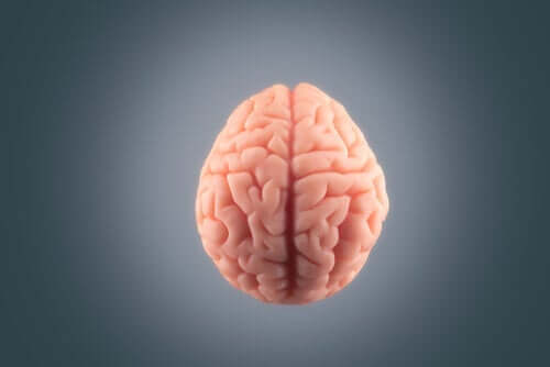 Vaaleanpunaiset aivot