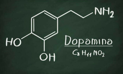 Dopamiini vaikuttaa muun muassa lihaksen liikkeeseen, kudosten kasvuun sekä immuunijärjestelmän toimintaan