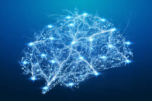 Aivokuori ja etenkin sen frontaaliset alueet ohjaavat ajatustemme kognitiivisia ja refleksiivisempiä prosesseja